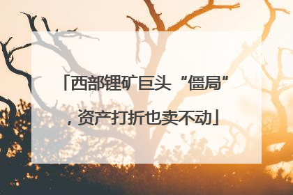 西部锂矿巨头“僵局”，资产打折也卖不动