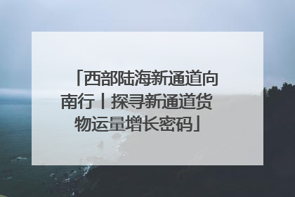西部陆海新通道向南行丨探寻新通道货物运量增长密码