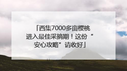 西集7000多亩樱桃进入最佳采摘期！这份“安心攻略”请收好