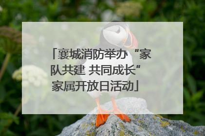 襄城消防举办“家队共建 共同成长”家属开放日活动