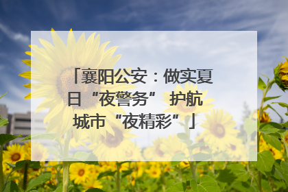 襄阳公安：做实夏日“夜警务” 护航城市“夜精彩”