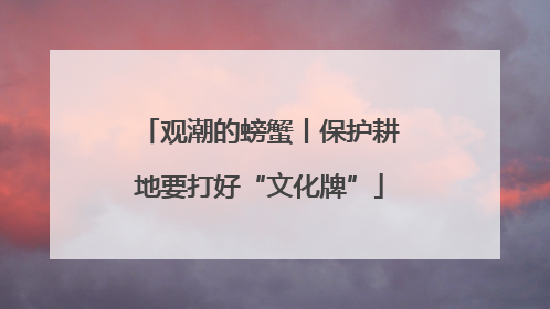 观潮的螃蟹丨保护耕地要打好“文化牌”