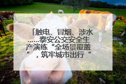 触电、冒烟、涉水……泰安公交安全生产演练“全场景覆盖”，筑牢城市出行“安全生命线”