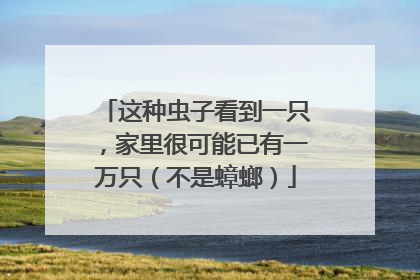 这种虫子看到一只，家里很可能已有一万只（不是蟑螂）