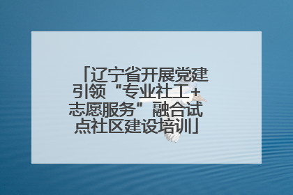 辽宁省开展党建引领“专业社工+志愿服务”融合试点社区建设培训