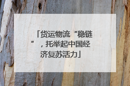货运物流“稳链”，托举起中国经济复苏活力