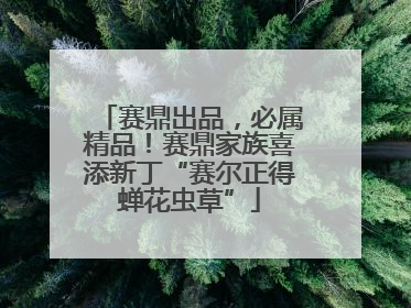 赛鼎出品，必属精品！赛鼎家族喜添新丁“赛尔正得蝉花虫草”