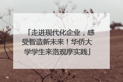 走进现代化企业，感受智造新未来！华侨大学学生来洛观摩实践