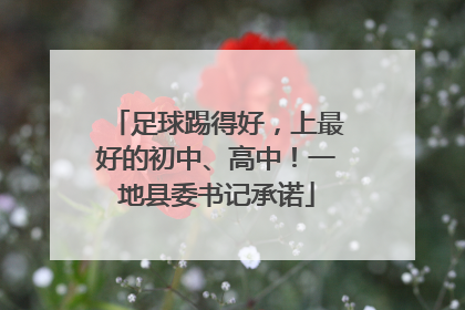 足球踢得好，上最好的初中、高中！一地县委书记承诺