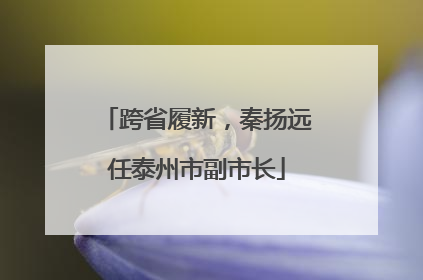 跨省履新，秦扬远任泰州市副市长