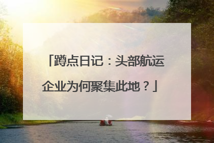 蹲点日记：头部航运企业为何聚集此地？