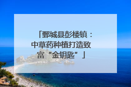 鄄城县彭楼镇：中草药种植打造致富“金钥匙”