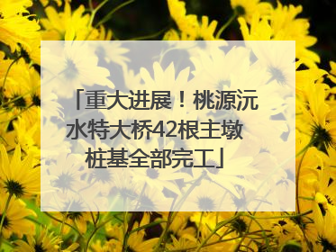 重大进展！桃源沅水特大桥42根主墩桩基全部完工