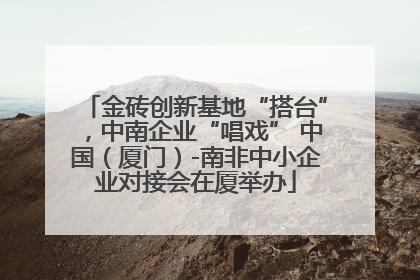 金砖创新基地“搭台”，中南企业“唱戏” 中国（厦门）-南非中小企业对接会在厦举办