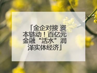 金企对接 资本链动！百亿元金融“活水”润泽实体经济