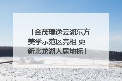 金茂璞逸云湖东方美学示范区亮相 更新北龙湖人居地标