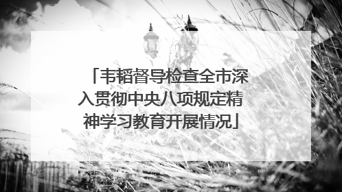 韦韬督导检查全市深入贯彻中央八项规定精神学习教育开展情况