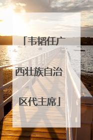 韦韬任广西壮族自治区代主席