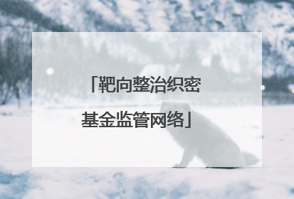靶向整治织密基金监管网络