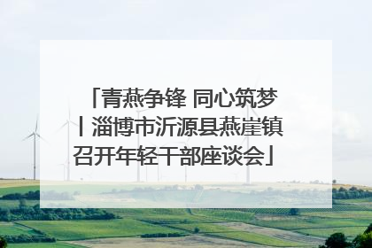 青燕争锋 同心筑梦丨淄博市沂源县燕崖镇召开年轻干部座谈会
