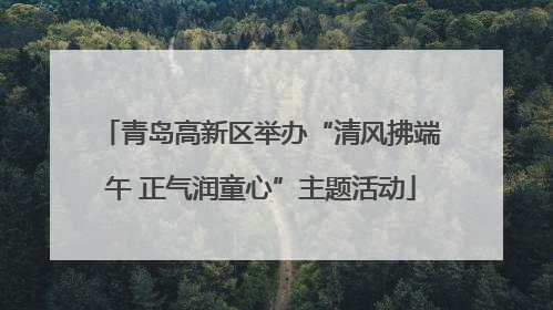 青岛高新区举办“清风拂端午 正气润童心”主题活动