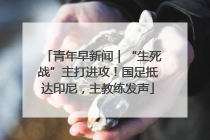青年早新闻｜“生死战”主打进攻！国足抵达印尼，主教练发声