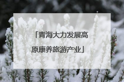 青海大力发展高原康养旅游产业