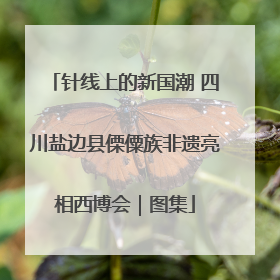 针线上的新国潮 四川盐边县傈僳族非遗亮相西博会｜图集