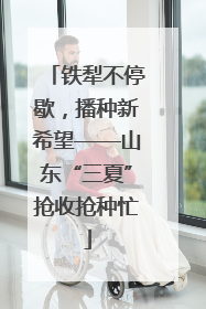 铁犁不停歇，播种新希望——山东“三夏”抢收抢种忙
