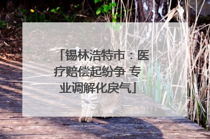 锡林浩特市：医疗赔偿起纷争 专业调解化戾气