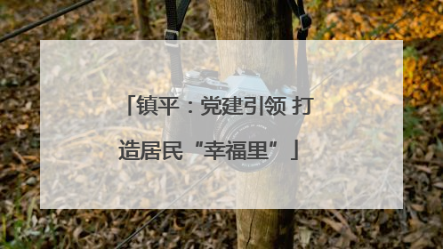镇平：党建引领 打造居民“幸福里”