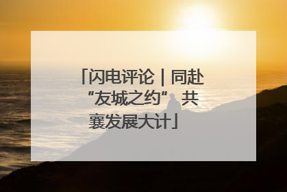 闪电评论｜同赴“友城之约” 共襄发展大计