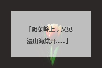 阴条岭上，又见漫山海棠开……