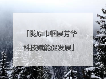 陇原巾帼展芳华 科技赋能促发展