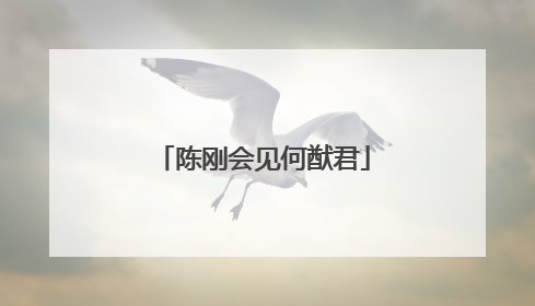 陈刚会见何猷君