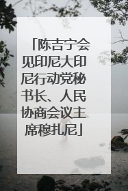 陈吉宁会见印尼大印尼行动党秘书长、人民协商会议主席穆扎尼