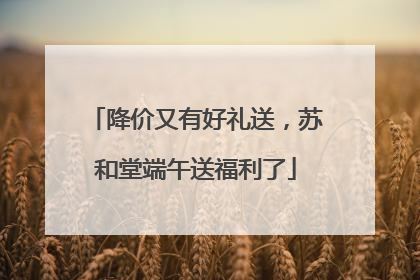 降价又有好礼送，苏和堂端午送福利了