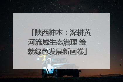 陕西神木：深耕黄河流域生态治理 绘就绿色发展新画卷