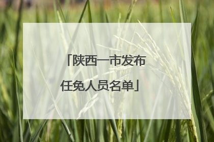 陕西一市发布任免人员名单