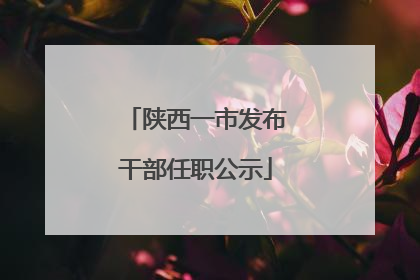 陕西一市发布干部任职公示