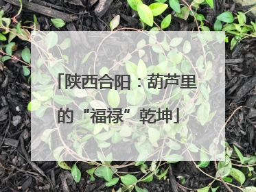 陕西合阳：葫芦里的“福禄”乾坤