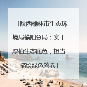 陕西榆林市生态环境局榆阳分局：实干厚植生态底色，担当描绘绿色答卷