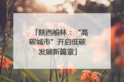 陕西榆林：“高碳城市”开启低碳发展新篇章
