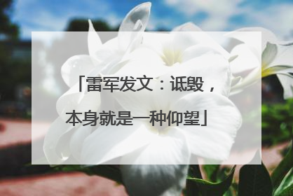 雷军发文：诋毁，本身就是一种仰望