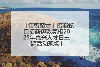 集智聚才丨招商蛇口招商伊敦亮相2025年嘉兴人才日主题活动现场