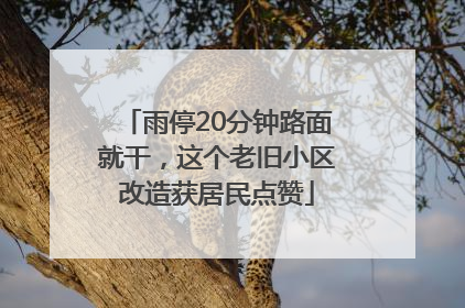 雨停20分钟路面就干，这个老旧小区改造获居民点赞