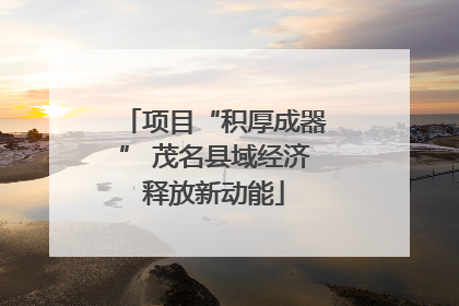 项目“积厚成器” 茂名县域经济释放新动能