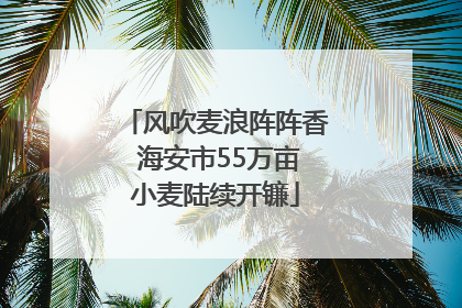 风吹麦浪阵阵香 海安市55万亩小麦陆续开镰
