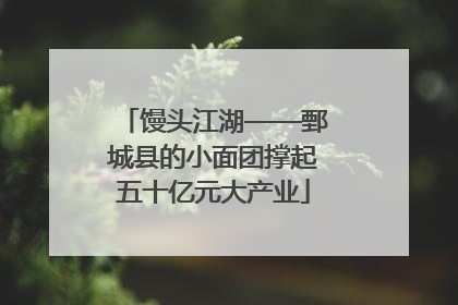 馒头江湖——鄄城县的小面团撑起五十亿元大产业