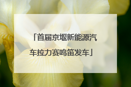 首届京堰新能源汽车拉力赛鸣笛发车